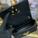 Louis Vuitton Pico GO-14 M23625 Black